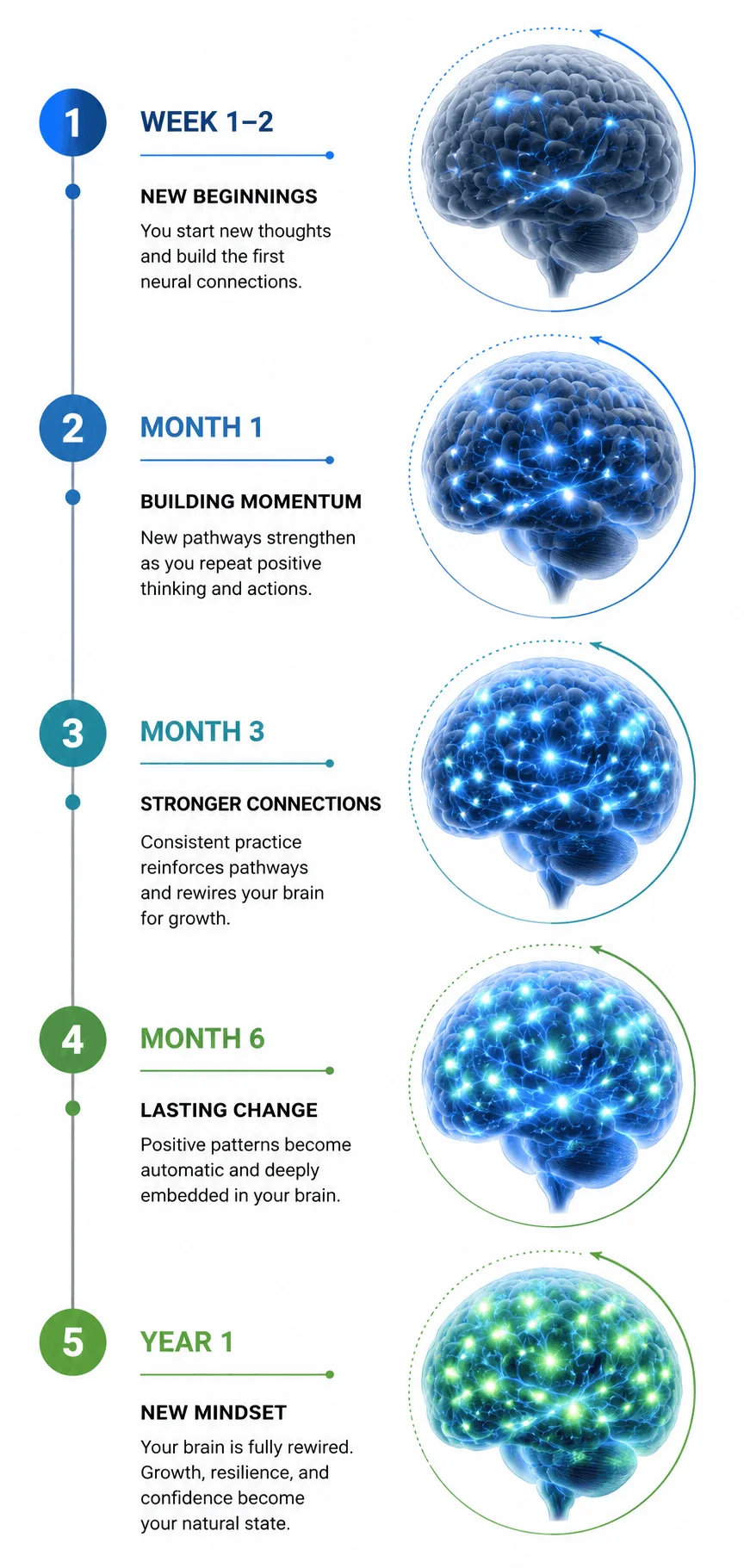 Brain rewiring timeline infographic showing neural pathways strengthening from week 1 to year 1 through consistent practice and neuroplasticity.