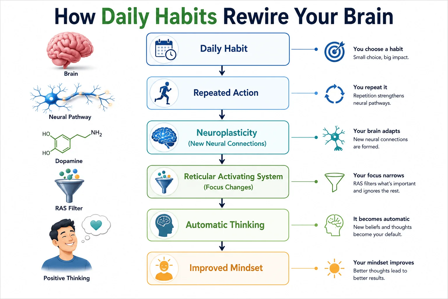 How daily habits rewire your brain through neuroplasticity, improving focus, automatic thinking, and a positive mindset.