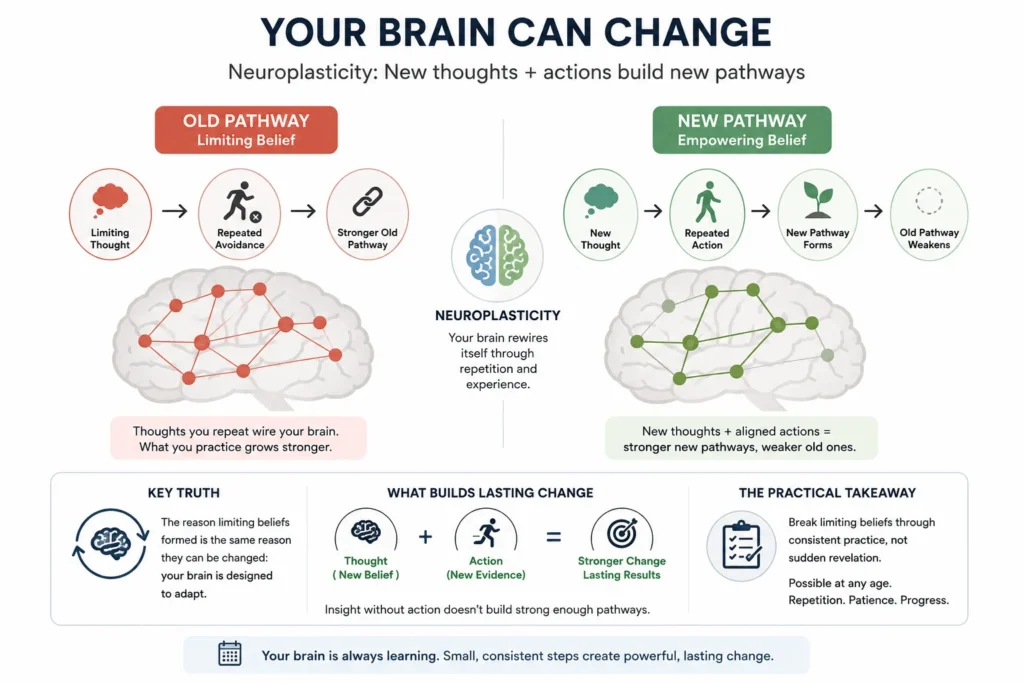 Neuroplasticity infographic showing how limiting beliefs change through new thoughts, repeated action, stronger neural pathways, and lasting personal growth.
