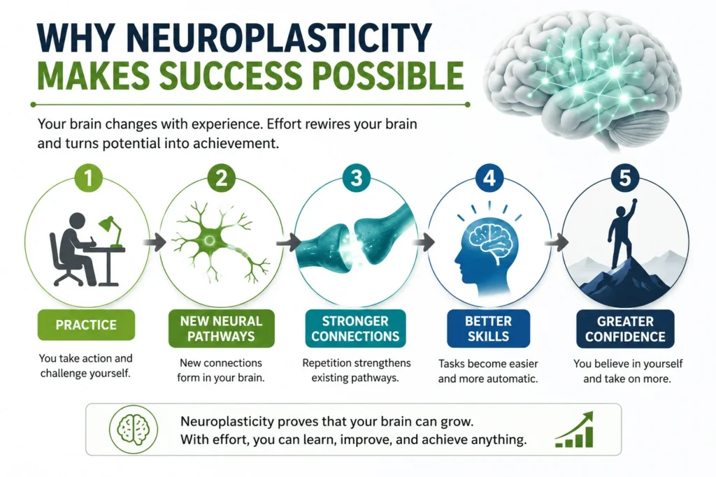 Neuroplasticity infographic showing how practice builds new neural pathways, stronger connections, better skills, and greater confidence for lasting success